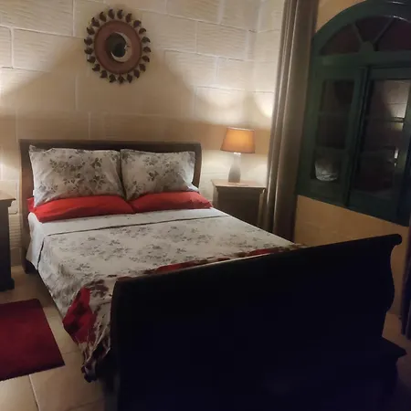 Tan-namur * 쇼키아